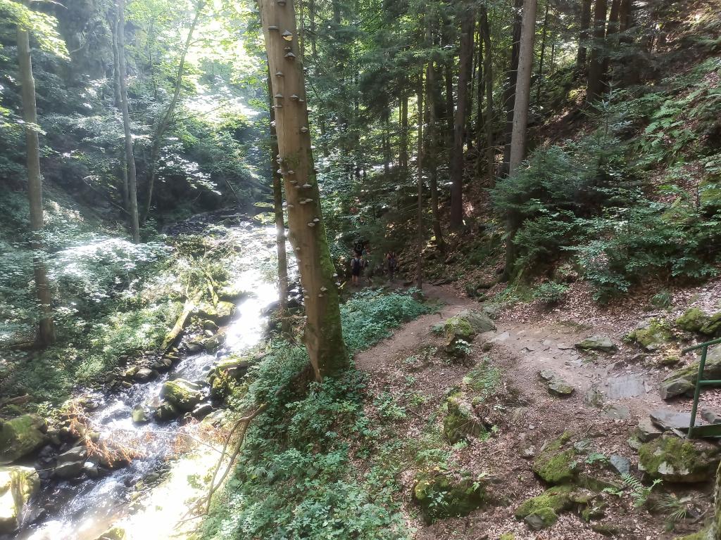 NAUČNÁ STEZKA ÚDOLÍM DOUBRAVY, 13. 9. 2023