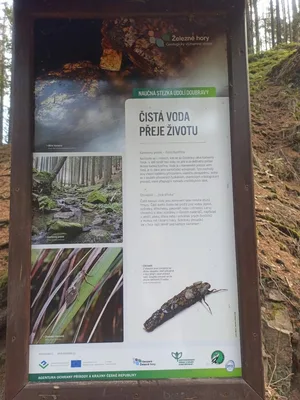 NAUČNÁ STEZKA ÚDOLÍM DOUBRAVY, 13. 9. 2023