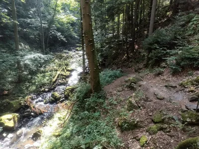 NAUČNÁ STEZKA ÚDOLÍM DOUBRAVY, 13. 9. 2023