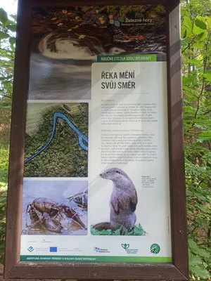 NAUČNÁ STEZKA ÚDOLÍM DOUBRAVY, 13. 9. 2023