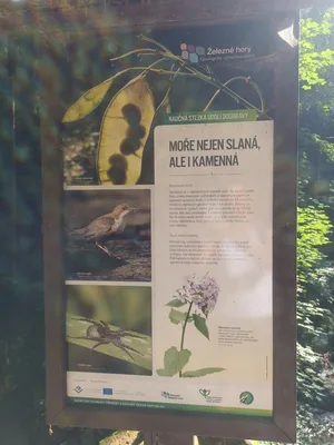 NAUČNÁ STEZKA ÚDOLÍM DOUBRAVY, 13. 9. 2023