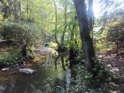 NAUČNÁ STEZKA ÚDOLÍM DOUBRAVY, 13. 9. 2023