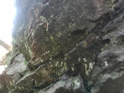 NAUČNÁ STEZKA ÚDOLÍM DOUBRAVY, 13. 9. 2023