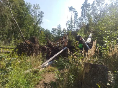 NAUČNÁ STEZKA ÚDOLÍM DOUBRAVY, 13. 9. 2023