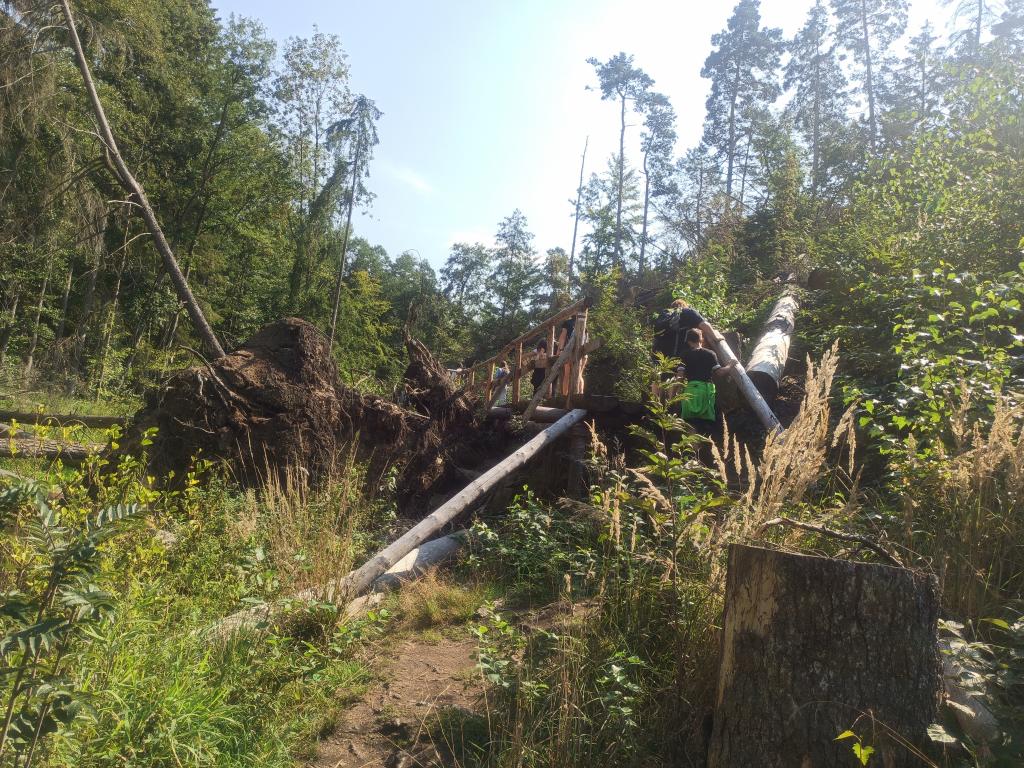 NAUČNÁ STEZKA ÚDOLÍM DOUBRAVY, 13. 9. 2023