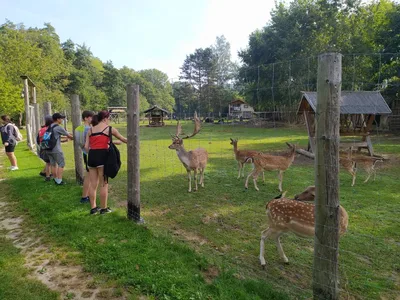 Přírodovědná exkurze údolím řeky Krounky a Novohradky směr Luže, 13. 9. 2023