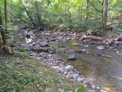 Přírodovědná exkurze údolím řeky Krounky a Novohradky směr Luže, 13. 9. 2023