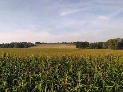 Přírodovědná exkurze údolím řeky Krounky a Novohradky směr Luže, 13. 9. 2023