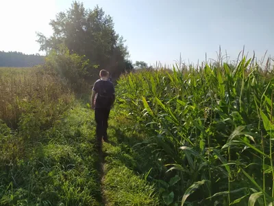 Přírodovědná exkurze údolím řeky Krounky a Novohradky směr Luže, 13. 9. 2023