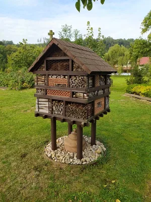 Přírodovědná exkurze údolím řeky Krounky a Novohradky směr Luže, 13. 9. 2023