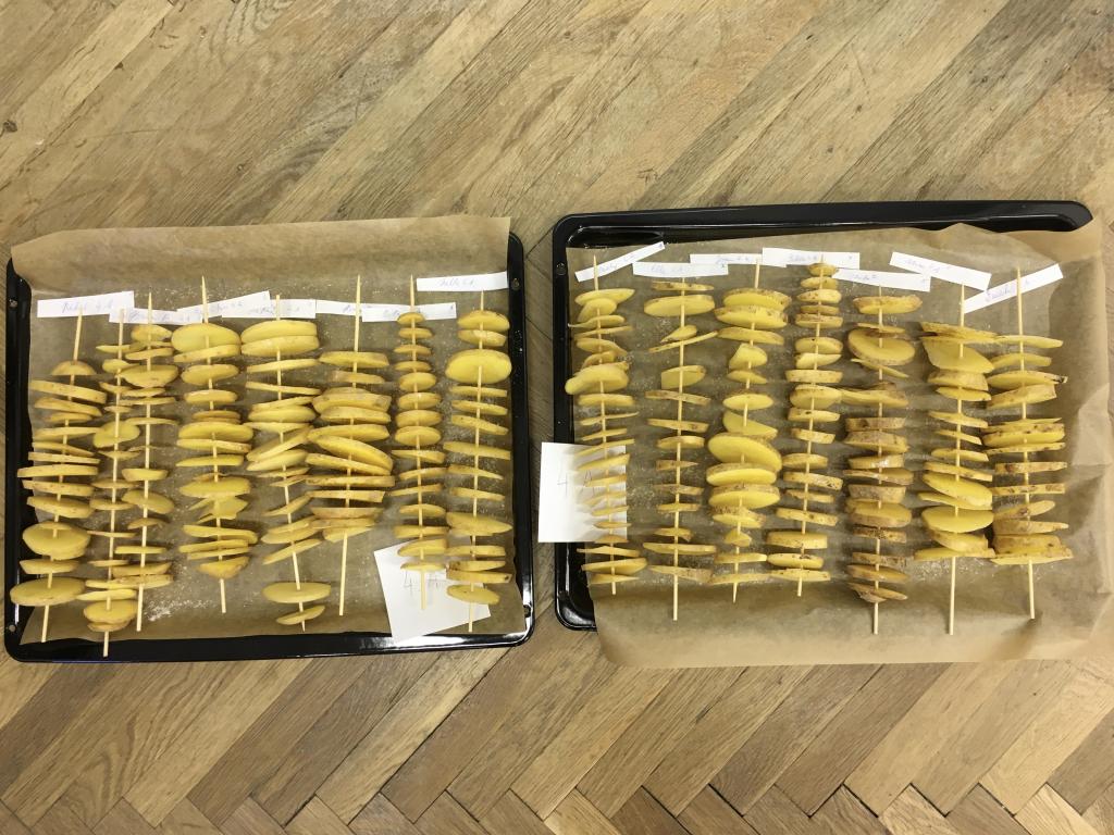 Projektový den - V hlavní roli brambory, 8. 9. 2023
