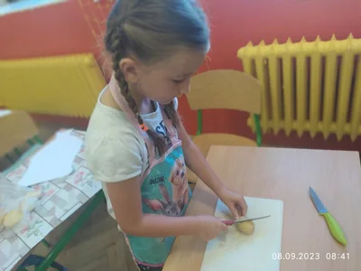 V hlavní roli brambory, 8. 9. 2023