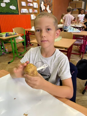 V hlavní roli BRAMBORY, 8. 9. 2023