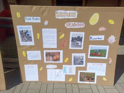 V hlavní roli brambory - výstupy projektového dne, 8. 9. 2023