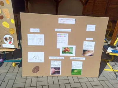 V hlavní roli brambory - výstupy projektového dne, 8. 9. 2023