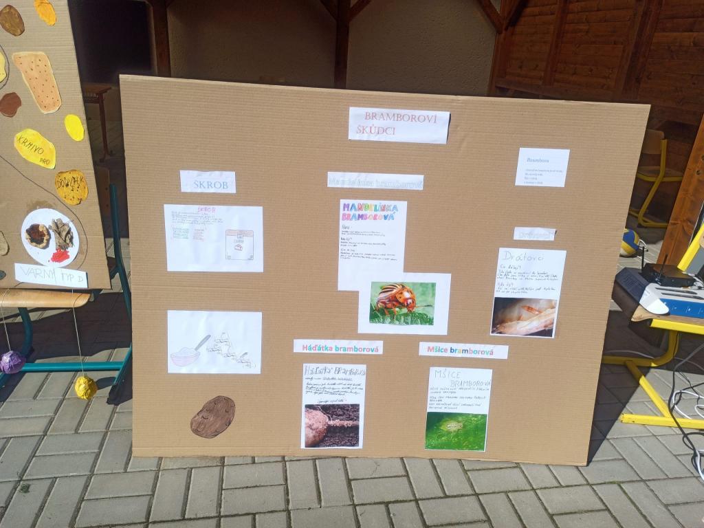 V hlavní roli brambory - výstupy projektového dne, 8. 9. 2023