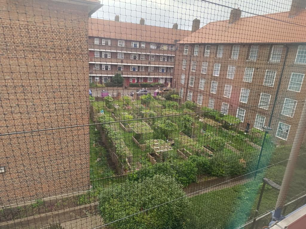 Zahraniční jazykový zájezd do Velké Británie, 24. 9. 2023