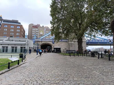 Zahraniční jazykový zájezd do Velké Británie, 24. 9. 2023