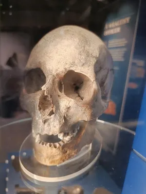 Zahraniční jazykový zájezd do Velké Británie, 27. 9. 2023