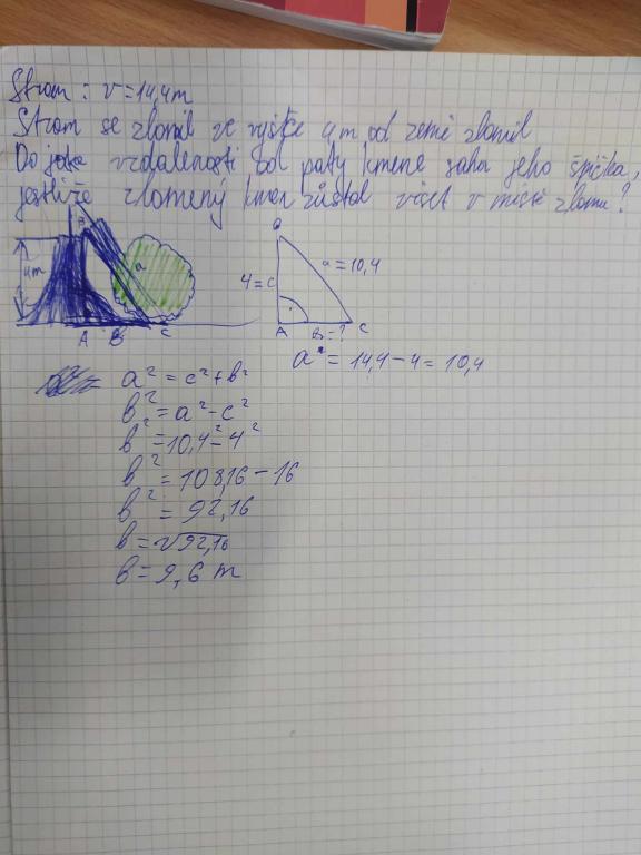 Den stromů napříč předměty, 20. 10. 2023