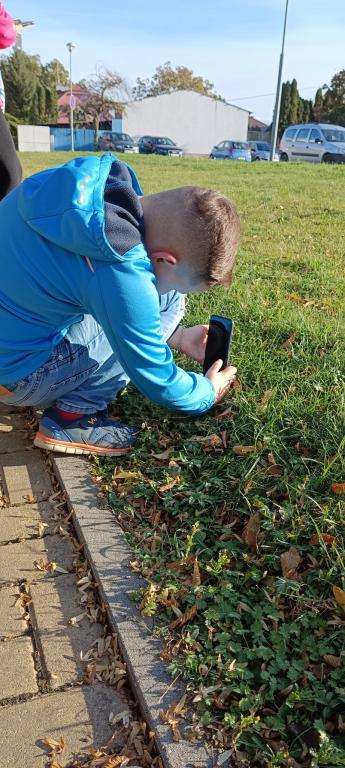 Náš svět - focení přírody, 17. 10. 2023