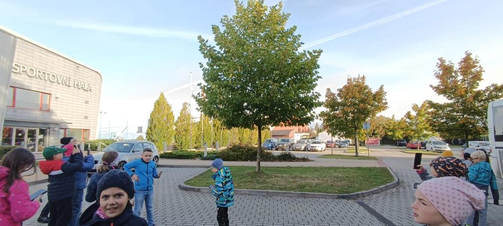 Náš svět - focení přírody, 17. 10. 2023