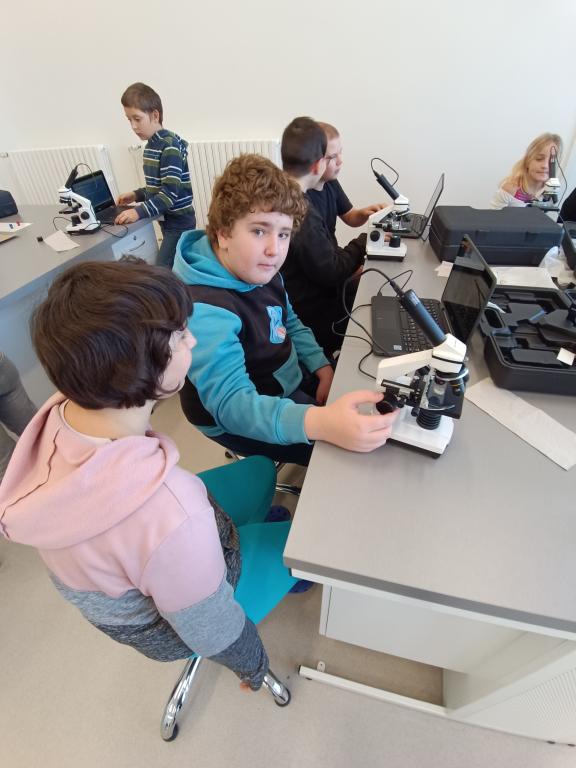 Náš svět: Živočichové - Ryby: Práce s digitálními technologiemi - pozorování elektronovým mikroskopem, 17. 10. 2023