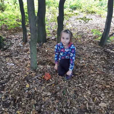 Stavění domečků nás baví, 6. 10. 2023