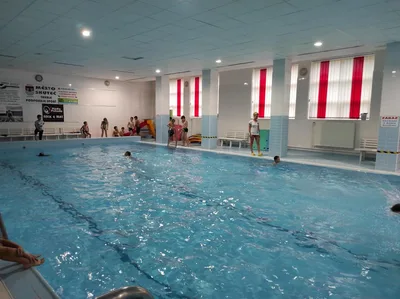 Plavání - 9. lekce a Laskavec v bazénu, 15. 11. 2023