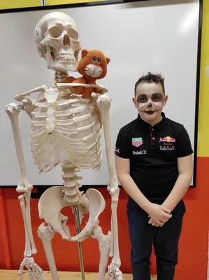 Strašidelná výuka ve 4. B, 3. 11. 2023