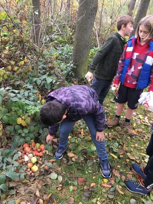 Týden laskavec, 14. 11. 2023