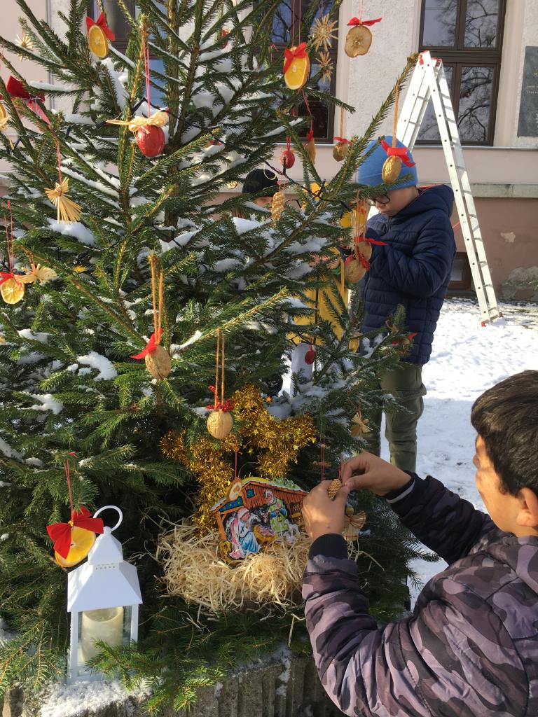 Vánoční zdobení školního truhlíku, 1. 12. 2023