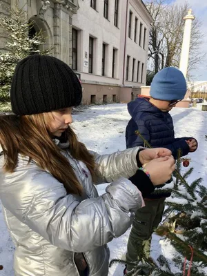 Vánoční zdobení školního truhlíku, 1. 12. 2023