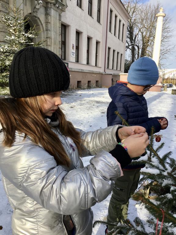 Vánoční zdobení školního truhlíku, 1. 12. 2023