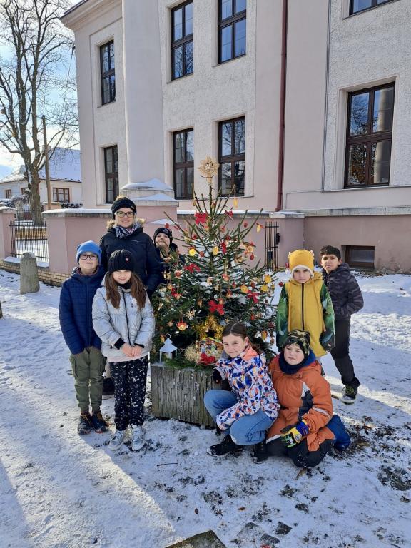 Vánoční zdobení školního truhlíku, 1. 12. 2023