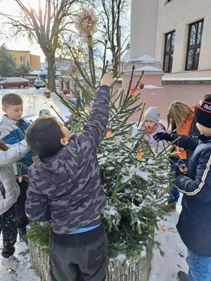 Vánoční zdobení školního truhlíku, 1. 12. 2023