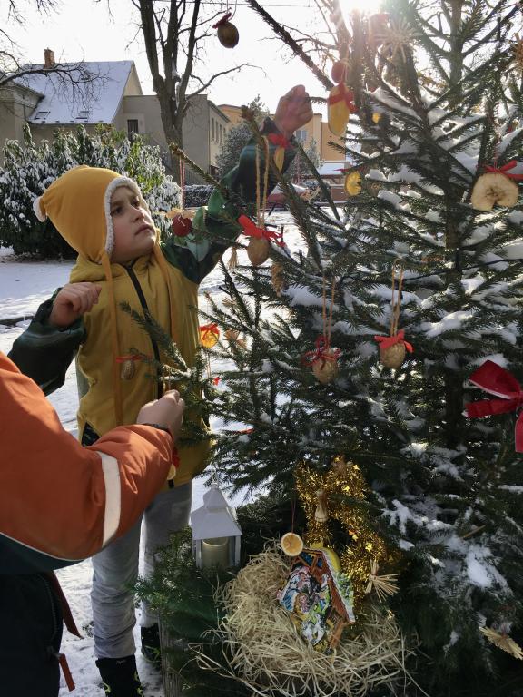 Vánoční zdobení školního truhlíku, 1. 12. 2023