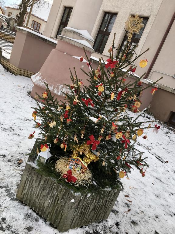 Vánoční zdobení školního truhlíku, 1. 12. 2023