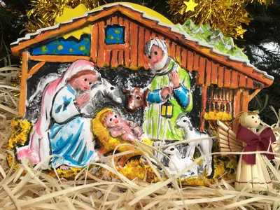 Vánoční zdobení školního truhlíku, 1. 12. 2023