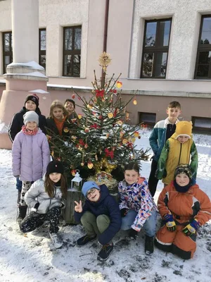 Vánoční zdobení školního truhlíku, 1. 12. 2023