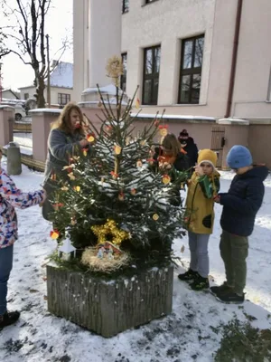 Vánoční zdobení školního truhlíku, 1. 12. 2023