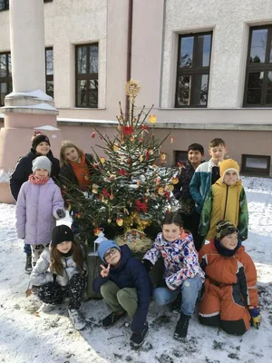 Vánoční zdobení školního truhlíku, 1. 12. 2023