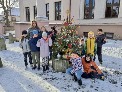 Vánoční zdobení školního truhlíku, 1. 12. 2023