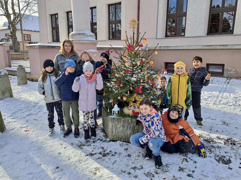Vánoční zdobení školního truhlíku, 1. 12. 2023
