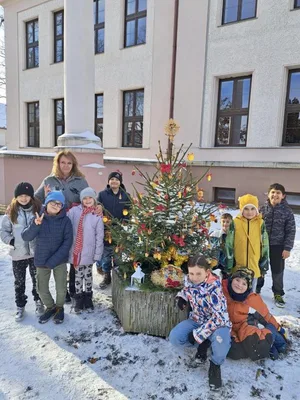 Vánoční zdobení školního truhlíku, 1. 12. 2023