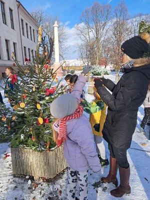 Vánoční zdobení školního truhlíku, 1. 12. 2023