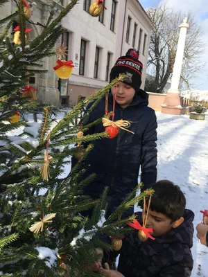 Vánoční zdobení školního truhlíku, 1. 12. 2023