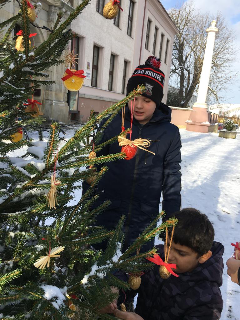 Vánoční zdobení školního truhlíku, 1. 12. 2023