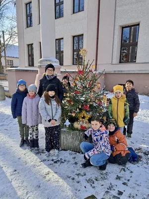 Vánoční zdobení školního truhlíku, 1. 12. 2023