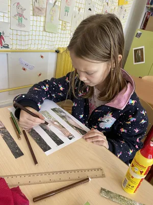 AJ, VV, PČ - Projekt Lesní zvěř, 19. 1. 2024
